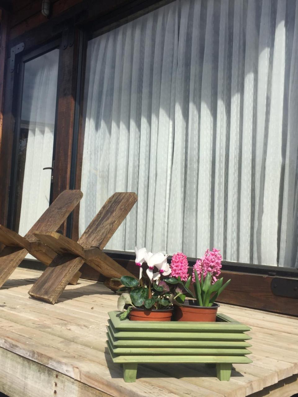 ピチレム Palo Santo Bed & Breakfast エクステリア 写真