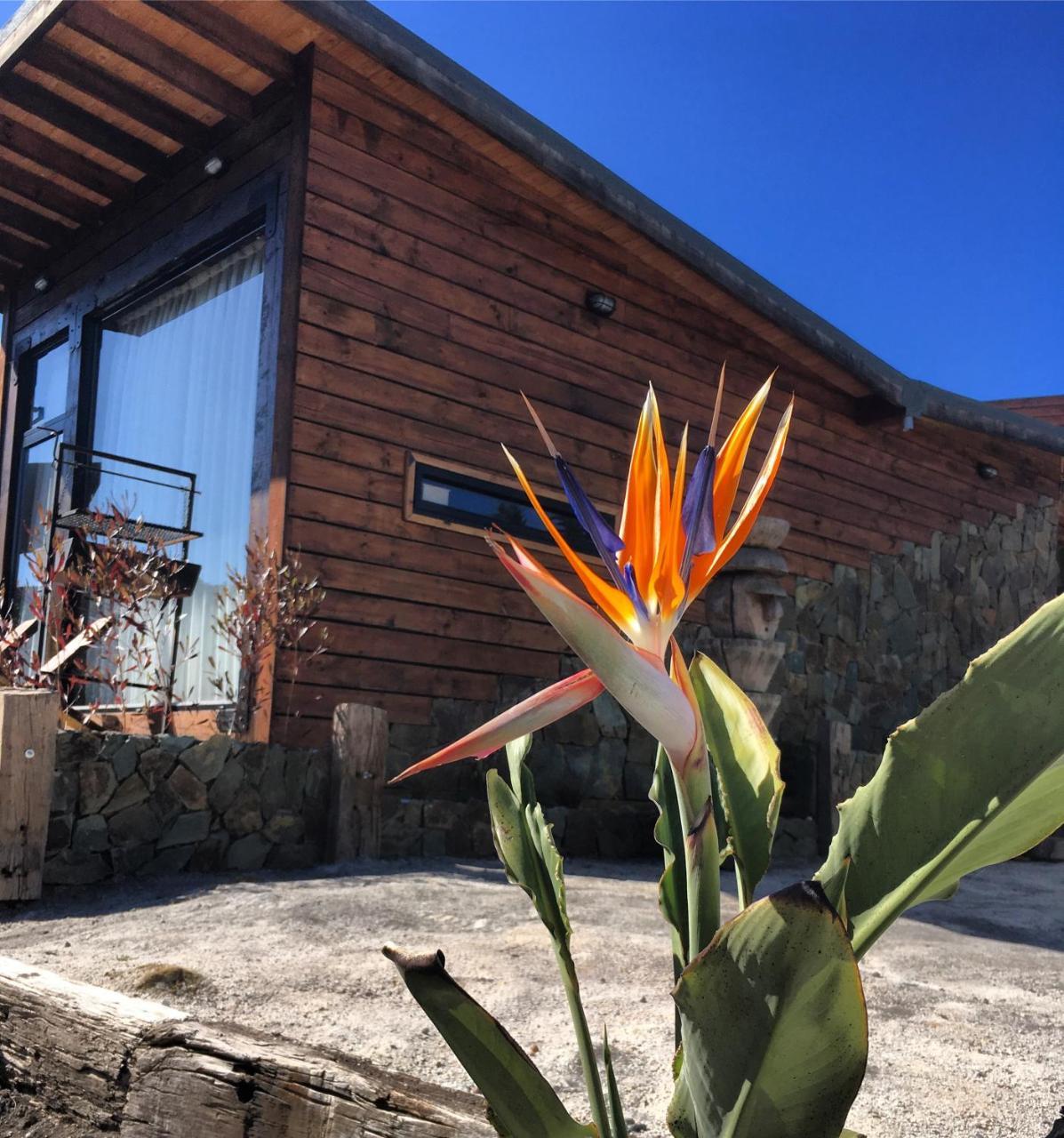 ピチレム Palo Santo Bed & Breakfast エクステリア 写真